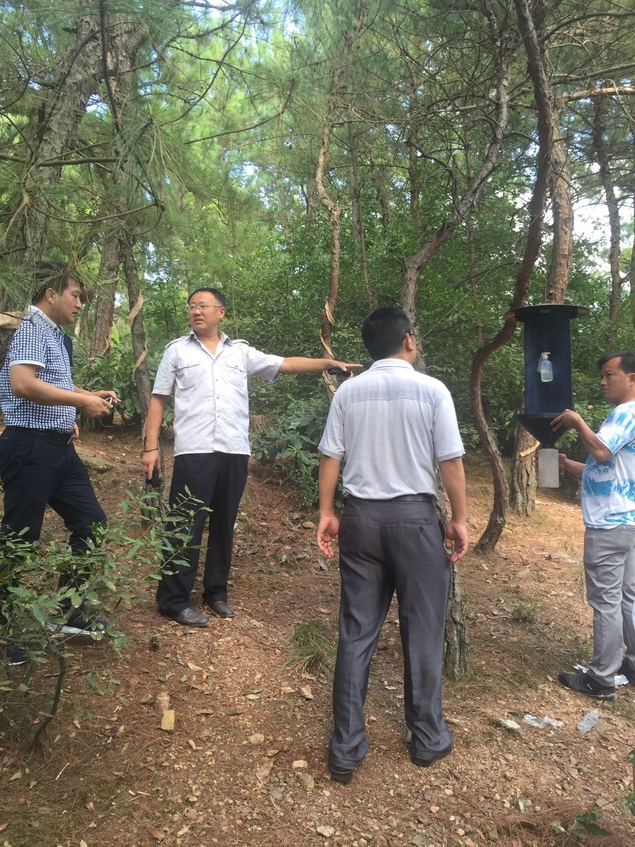 枞阳县松褐天牛防治项目（释放花绒寄甲）